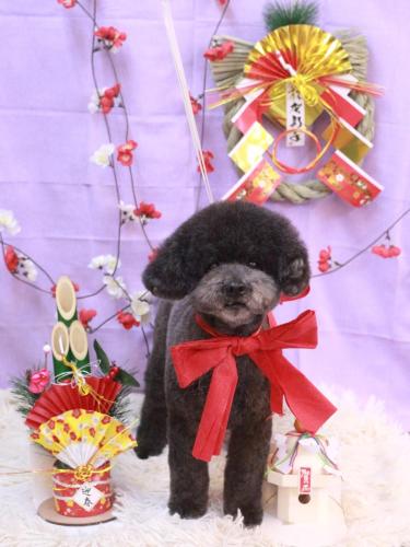 20230127コタロウくん